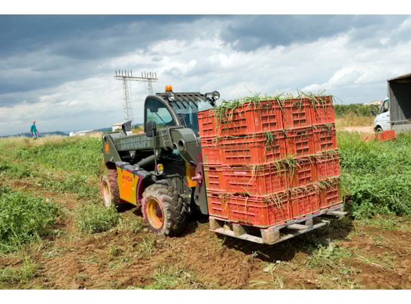 Incarcator Telescopic Ausa T 204 H  de vanzare