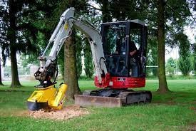 Freza Cioate RABAUD XYLOCROK 45 PE -- miniexcavator 5 - 8 t. de vanzare