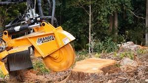 Freza Cioate UtilMAX BANDIT SA-25 de vanzare