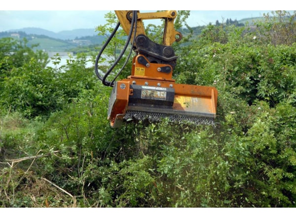 Tocator vegetatie - excavator Berti Tocator EFX/SB 160,  excavator 20 - 35 tone. de vanzare